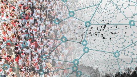 Menschenmenge geht über in Vogelschwarm hinter einem Netzwerk Menschenmenge geht über in Vogelschwarm hinter einem Netzwerk
